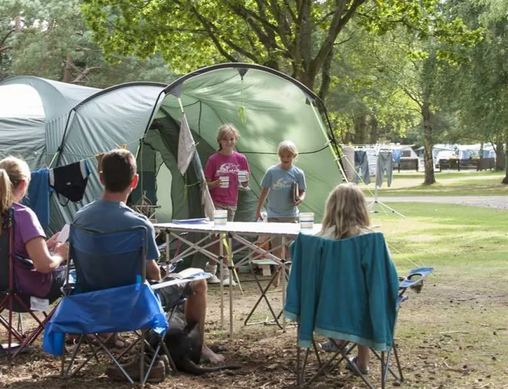 Sandringham Camping and Caravanning Club Site