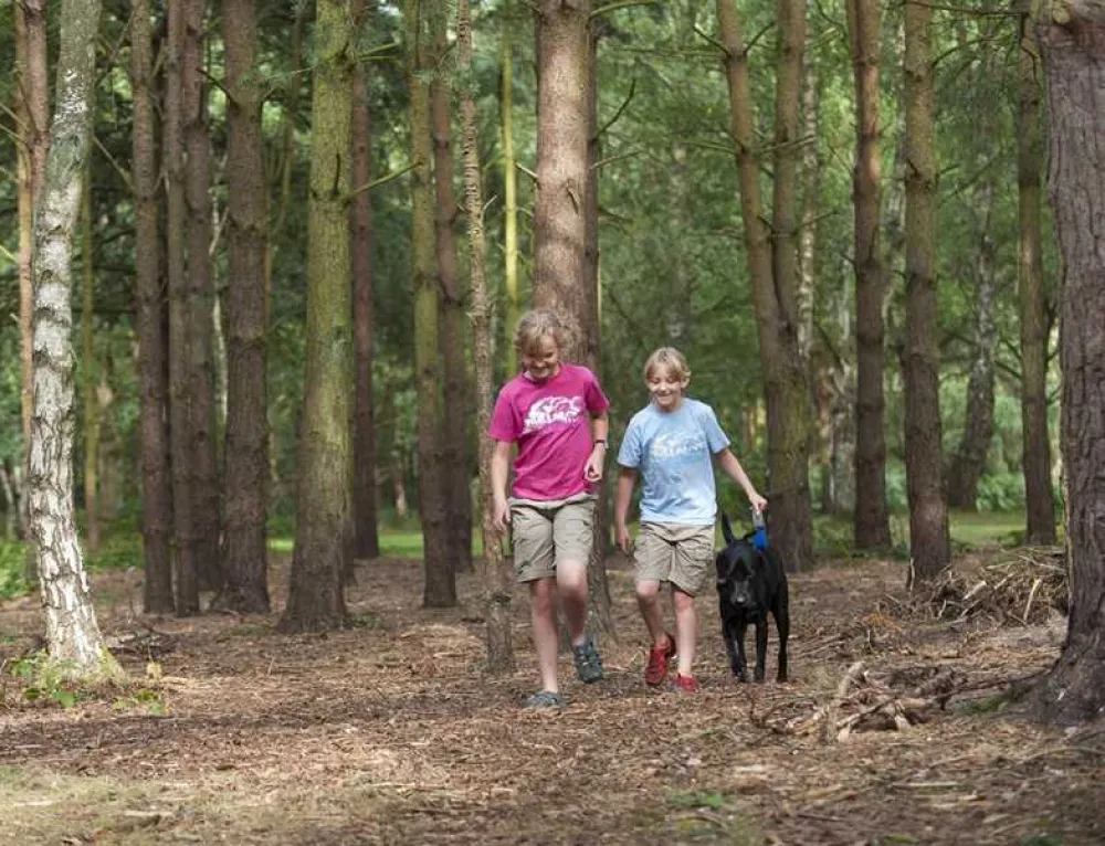Sandringham Camping and Caravanning Club Site