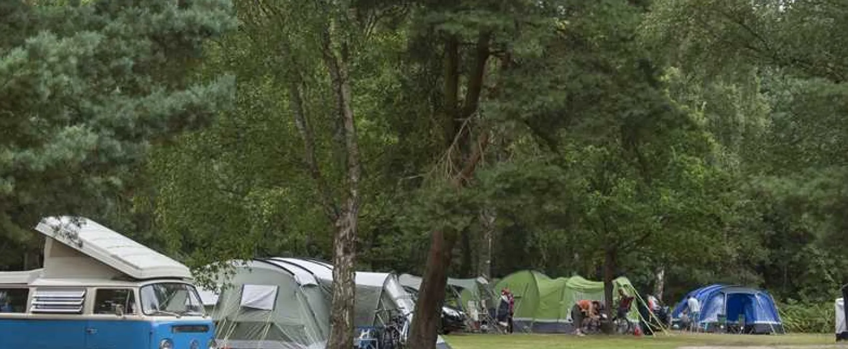 Sandringham Camping and Caravanning Club Site