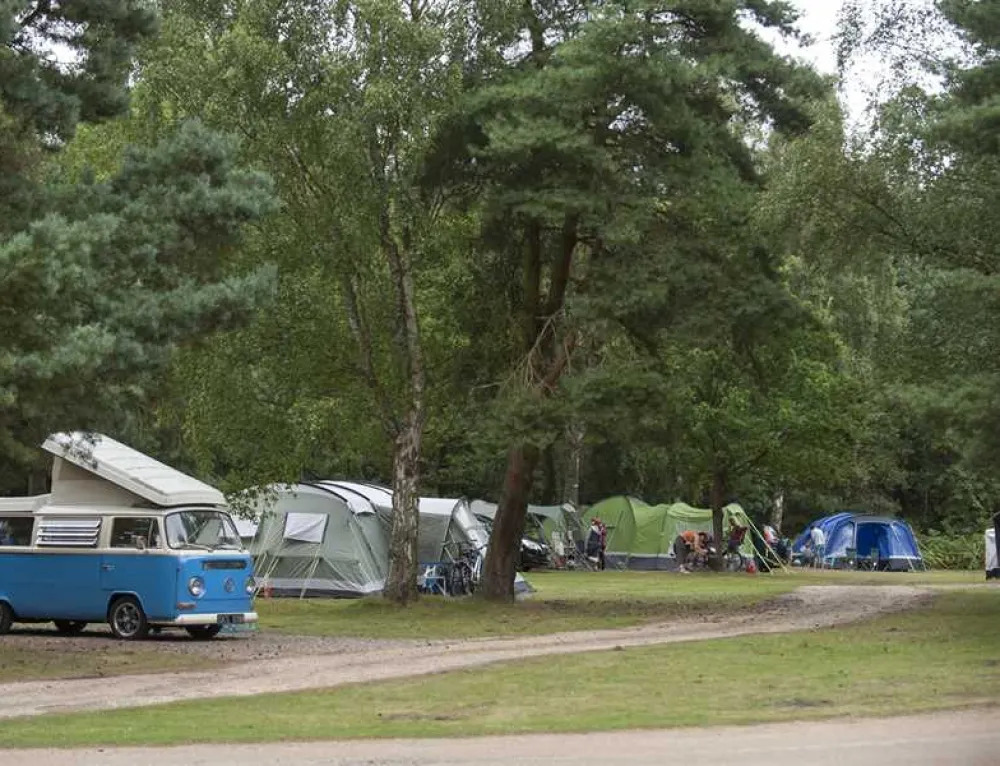 Sandringham Camping and Caravanning Club Site