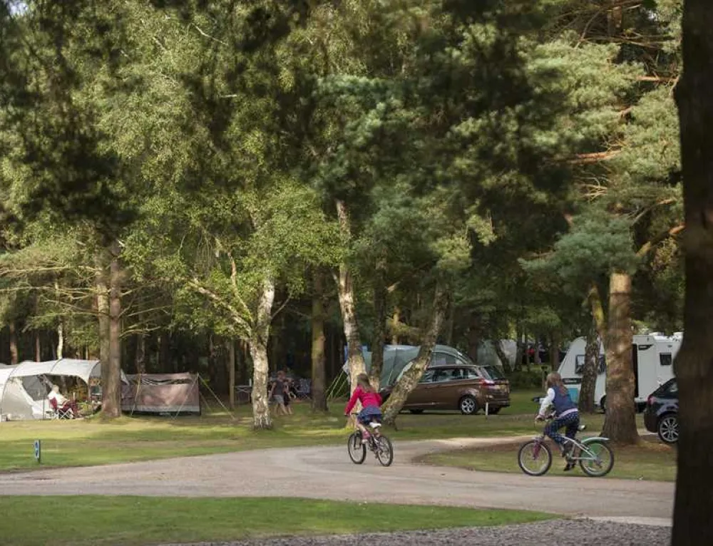 Sandringham Camping and Caravanning Club Site
