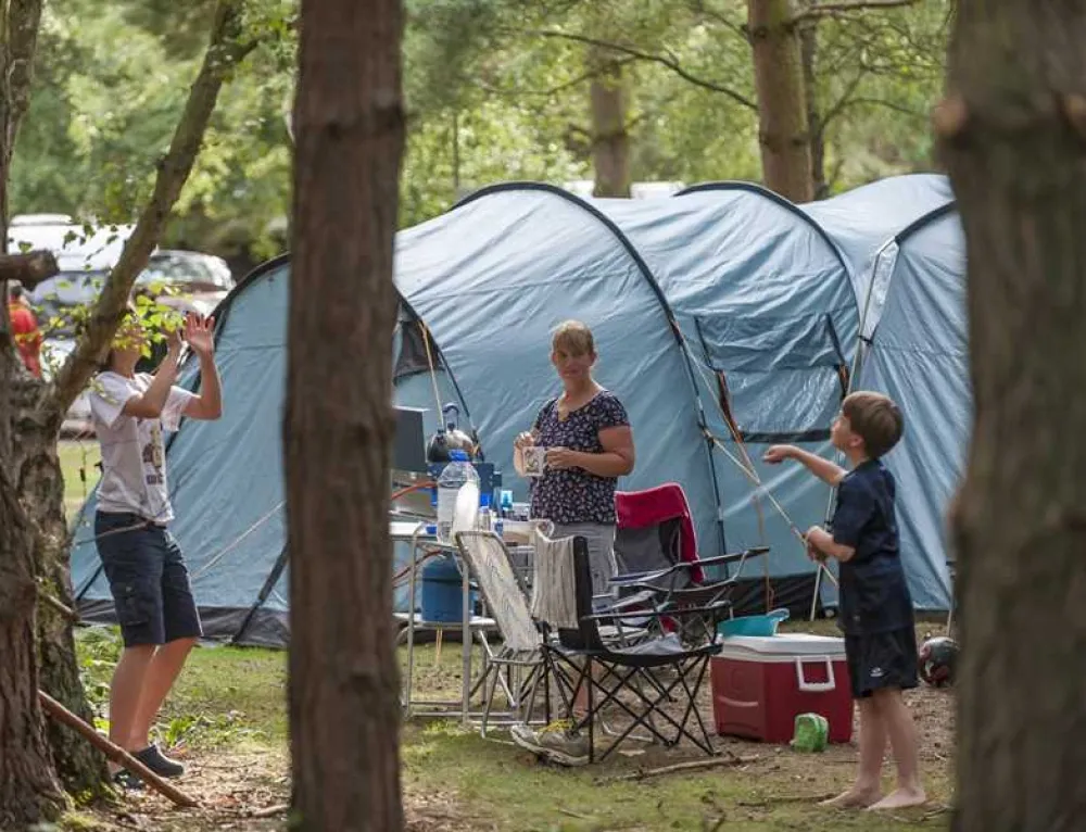 Sandringham Camping and Caravanning Club Site