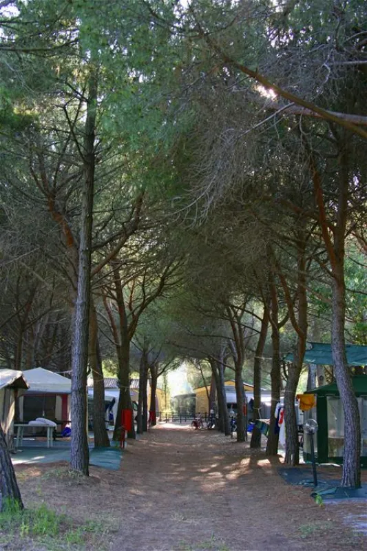 Camping Village Baia Azzurra Club