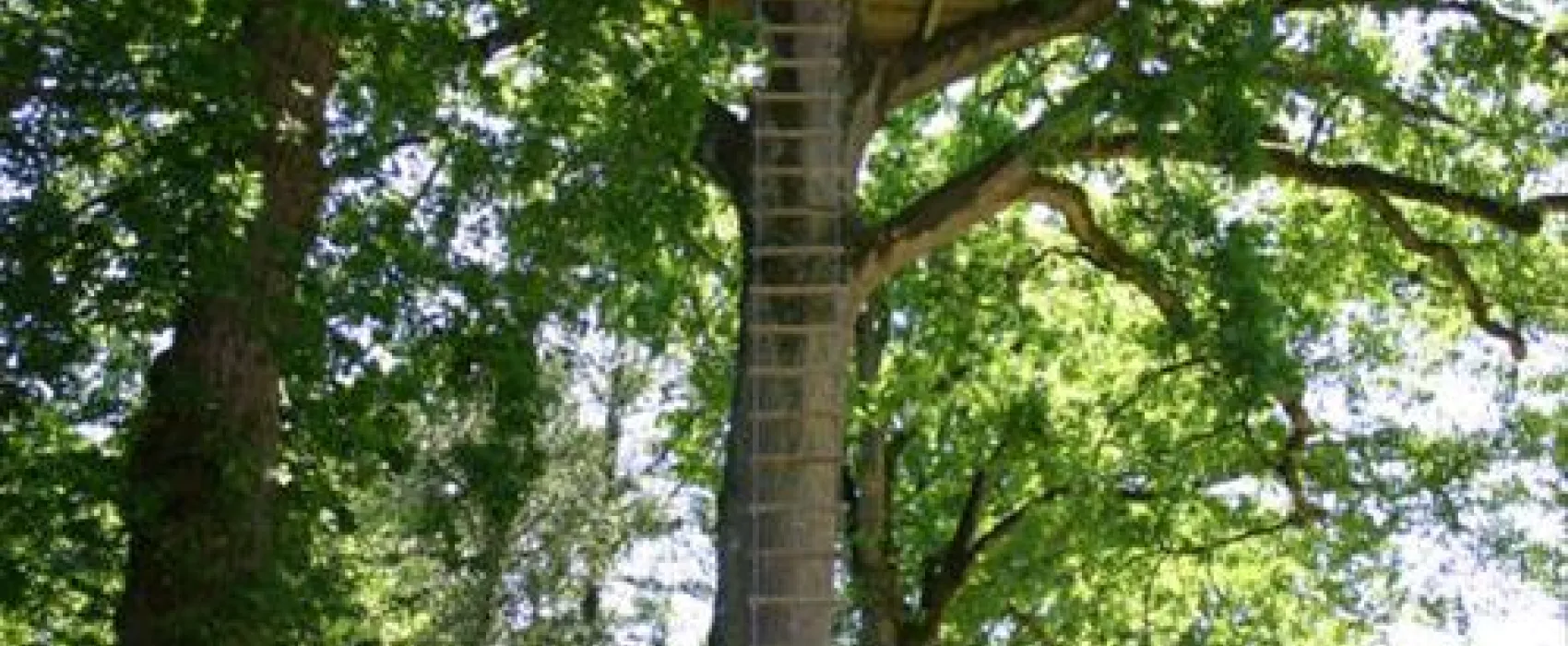 Castel Le Domaine Des Ormes  