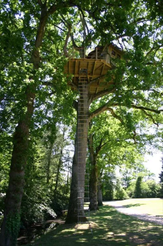 Castel Le Domaine Des Ormes  