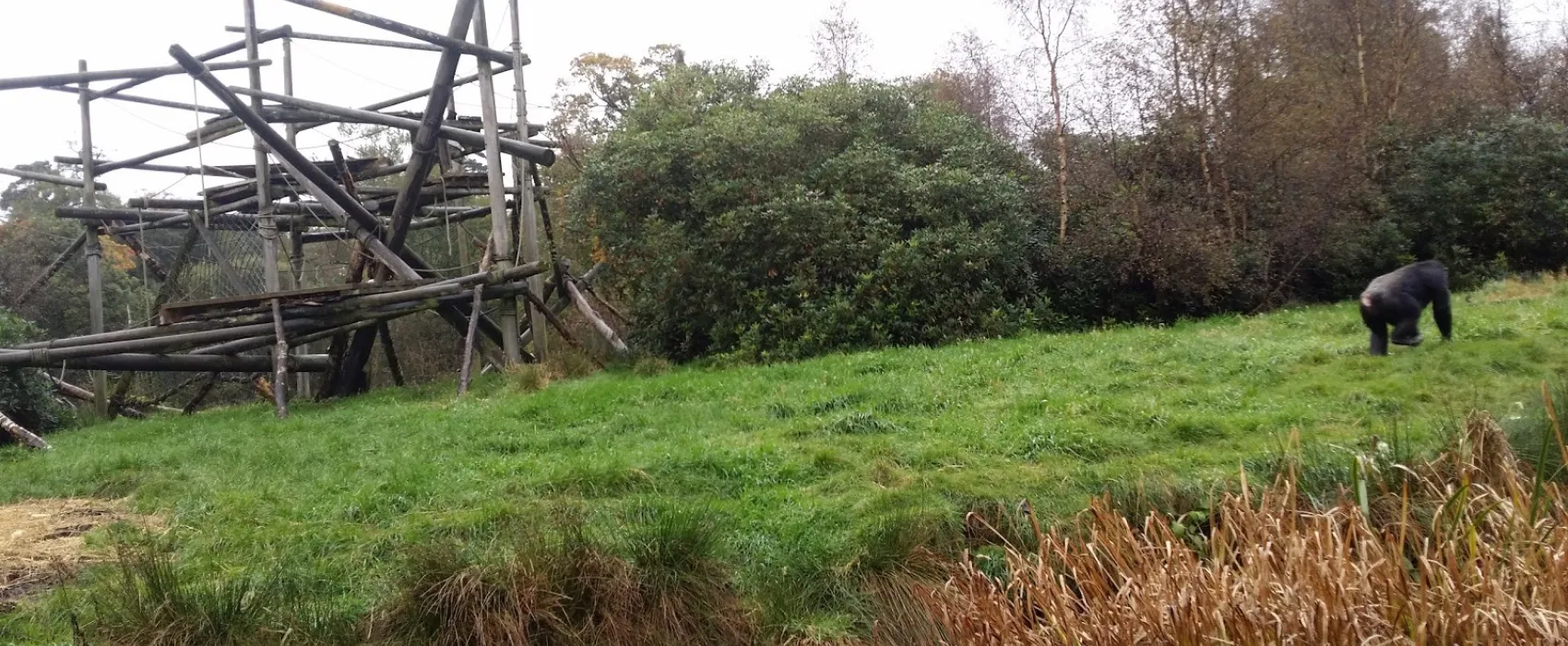 Blair Drummond Caravan Park