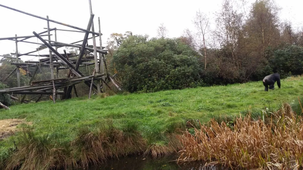 Blair Drummond Caravan Park