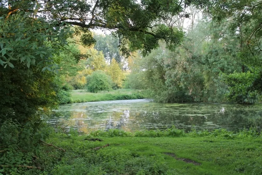 Camping Parc Des Cygnes  