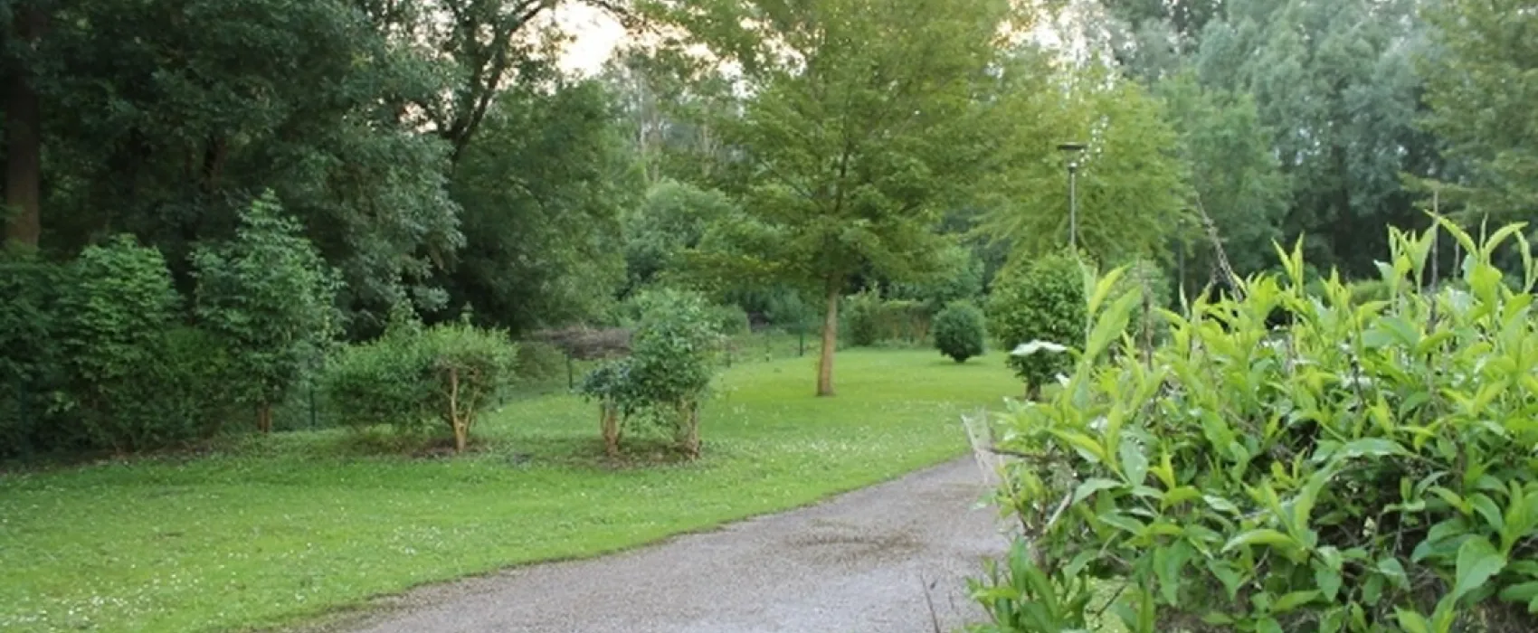 Camping Parc Des Cygnes  