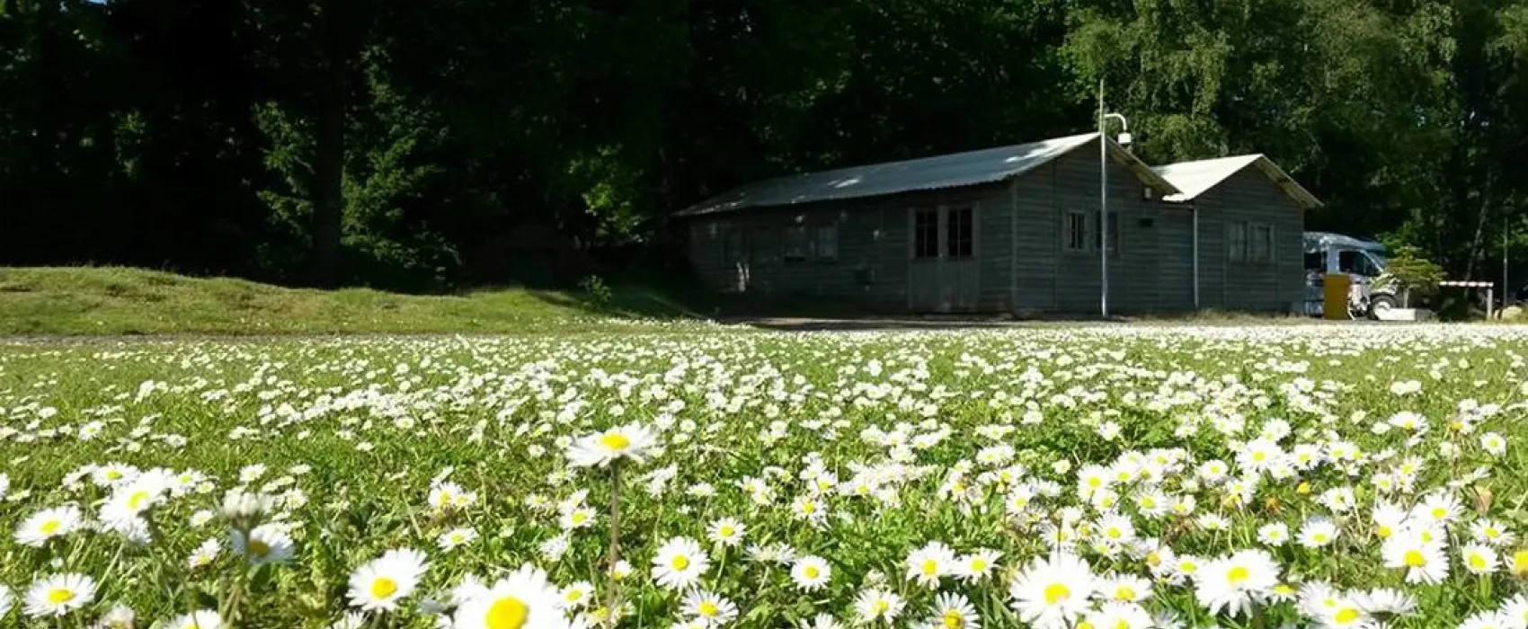 Camping De Schaopvolte