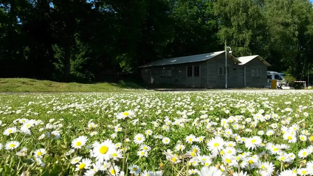 Camping De Schaopvolte