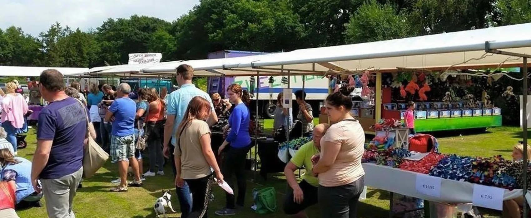 Camping De Schaopvolte