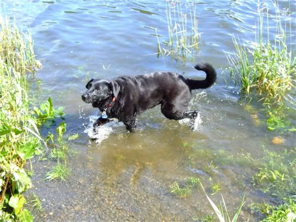 Campingplatz Affolderner See