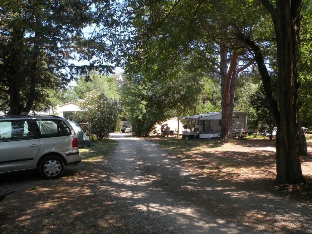 Camping la Coscolleda  