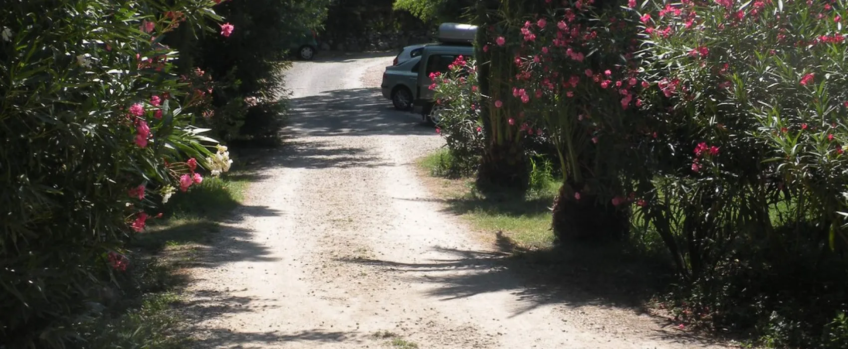 Camping la Coscolleda  