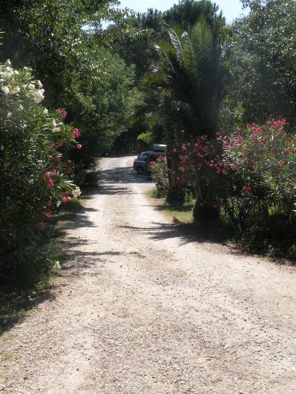 Camping la Coscolleda  