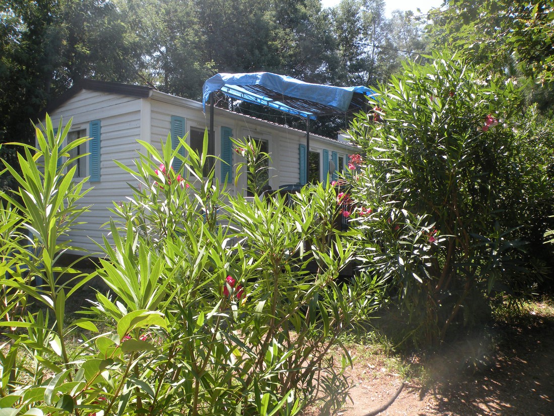 Camping la Coscolleda photo 5