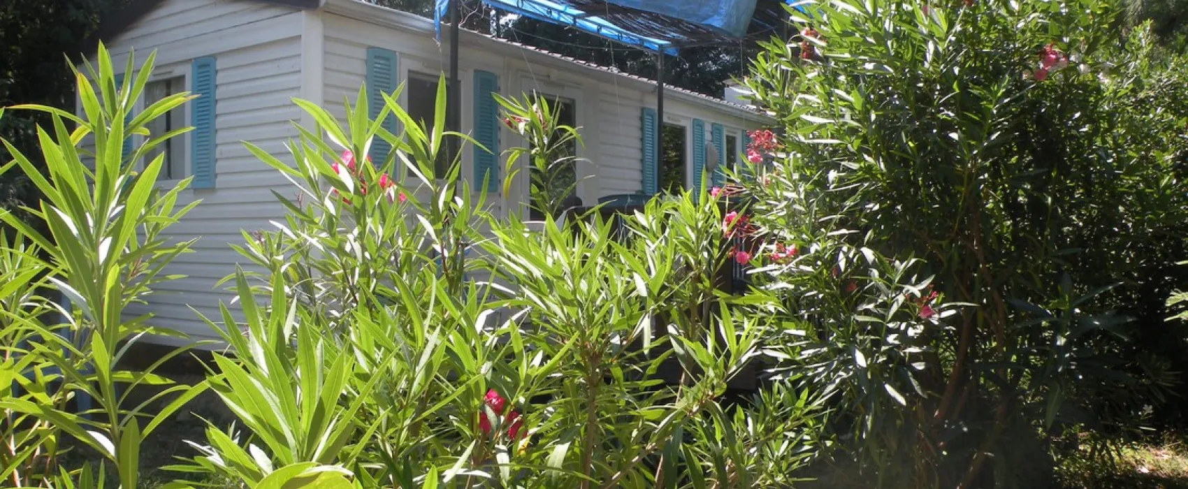 Camping la Coscolleda  