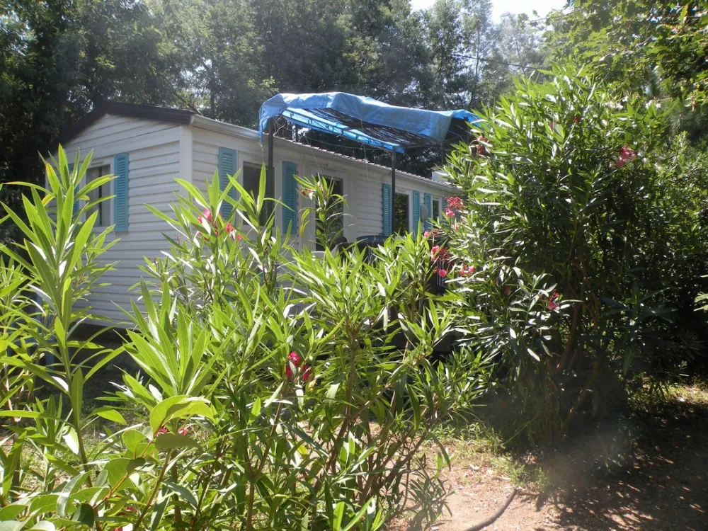 Camping la Coscolleda  