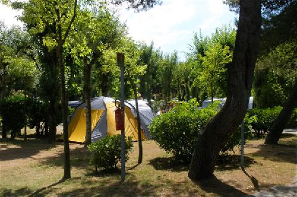 Camping Dei Fiori