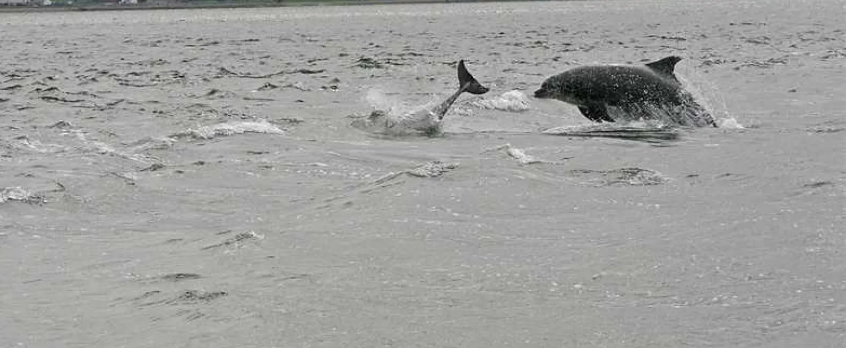 Rosemarkie Camping and Caravanning Club Site