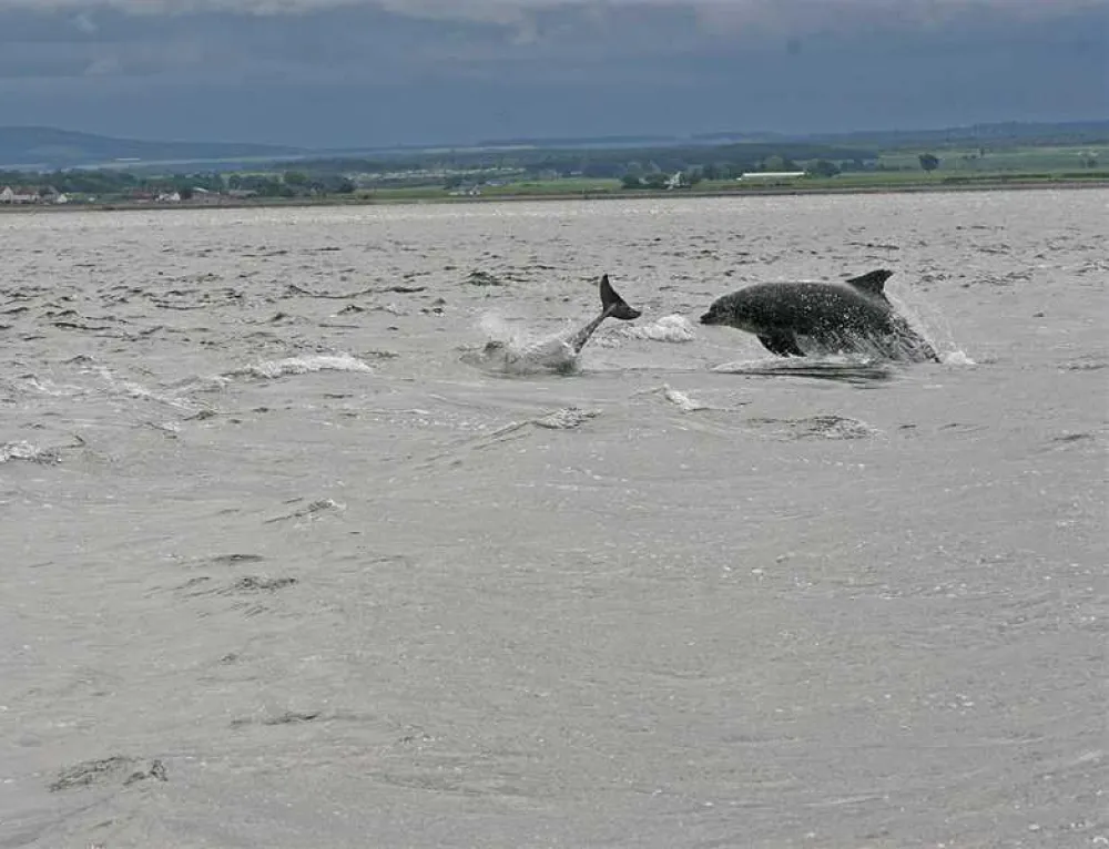 Rosemarkie Camping and Caravanning Club Site