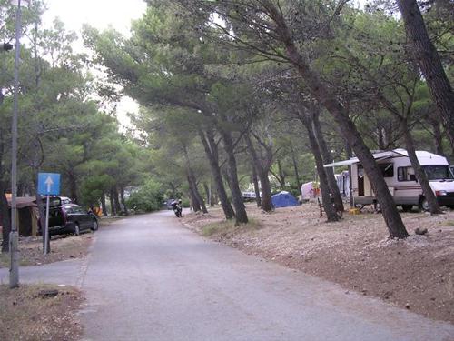 Camping Basko Polje - Photo 3