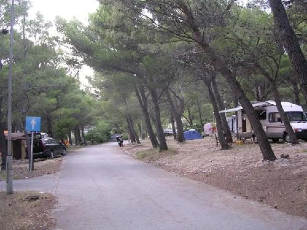 Camping Basko Polje