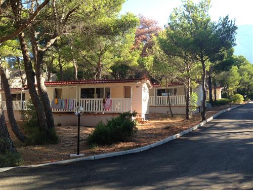 Camping Basko Polje photo 4