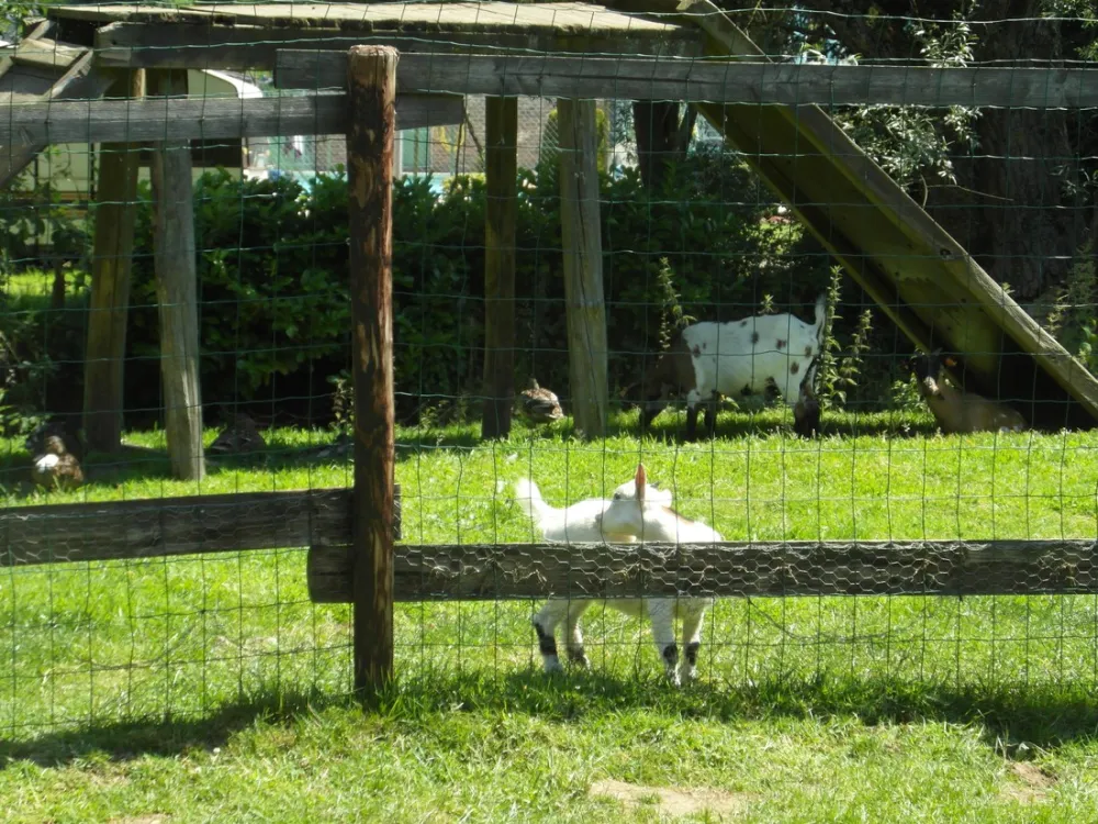 Camping du Vieux Moulin