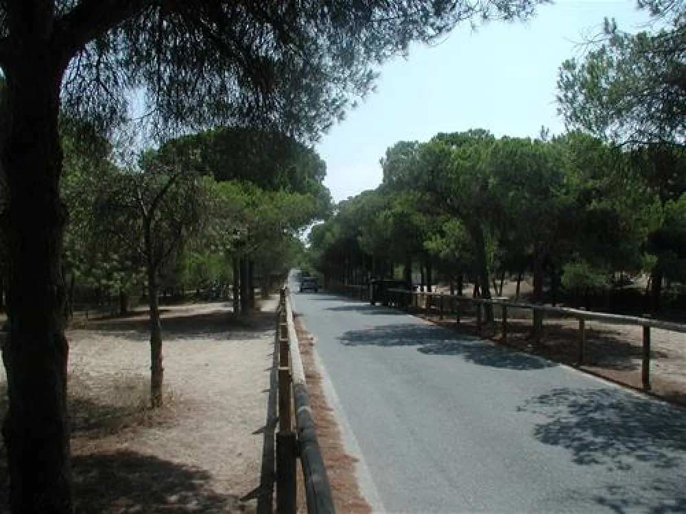 La Marina Camping & Resort