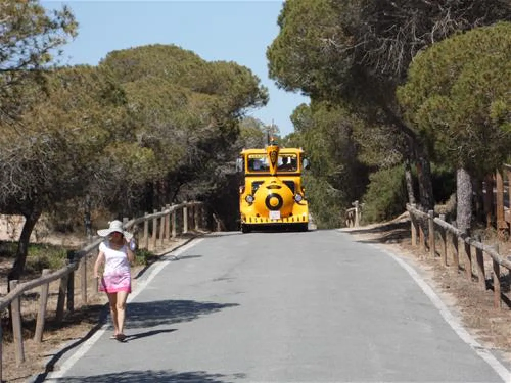 La Marina Camping & Resort