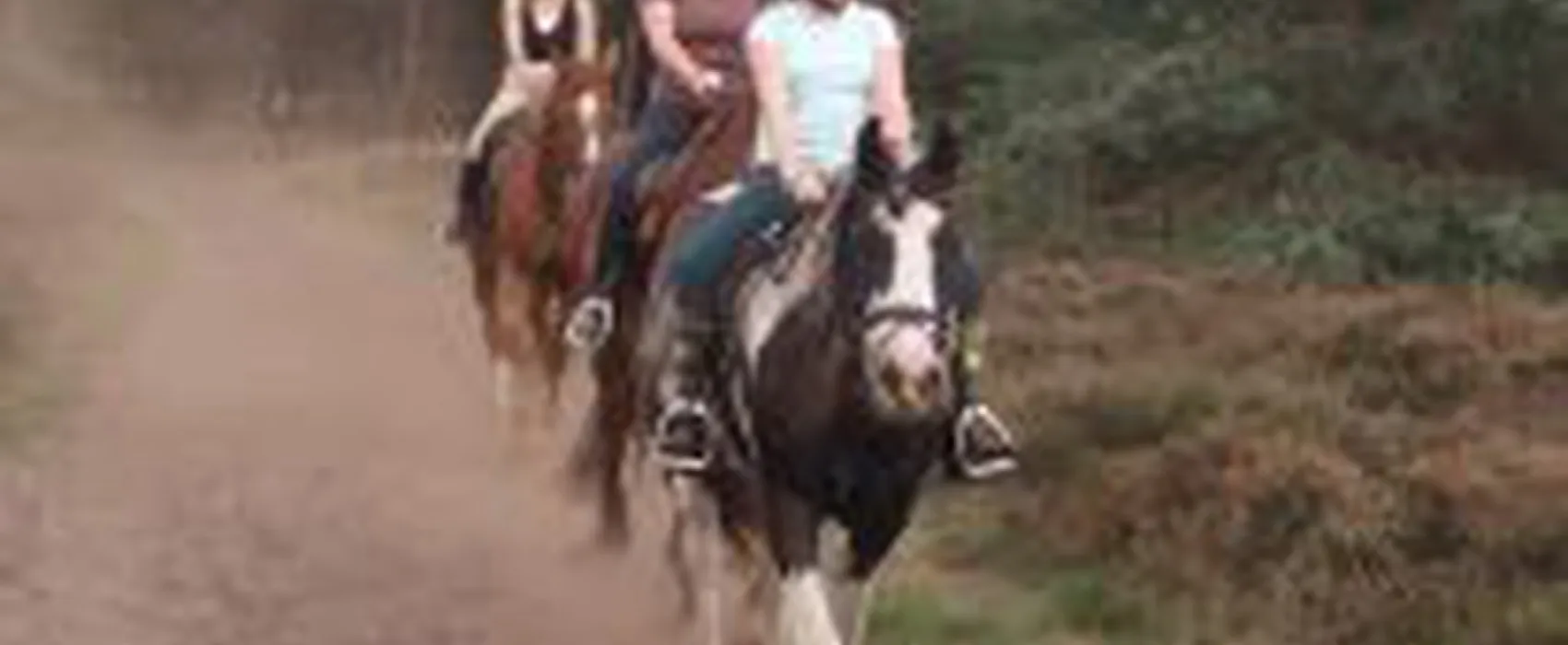 Minicamping Meulendijks