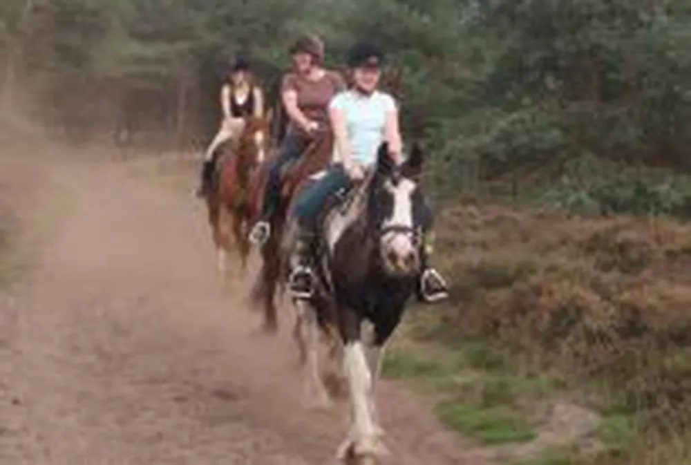 Minicamping Meulendijks