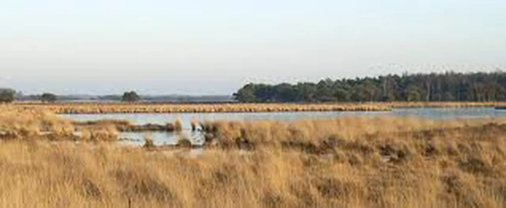 Minicamping Meulendijks