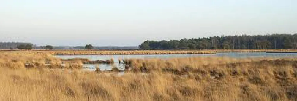 Minicamping Meulendijks