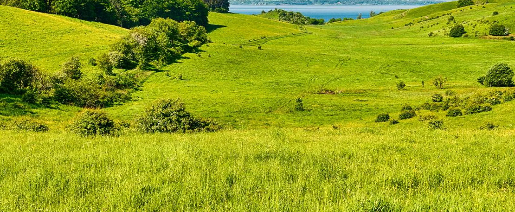 Mötesplats Borstahusen