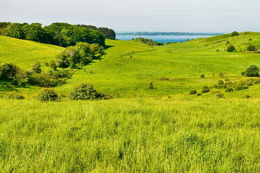 Mötesplats Borstahusen