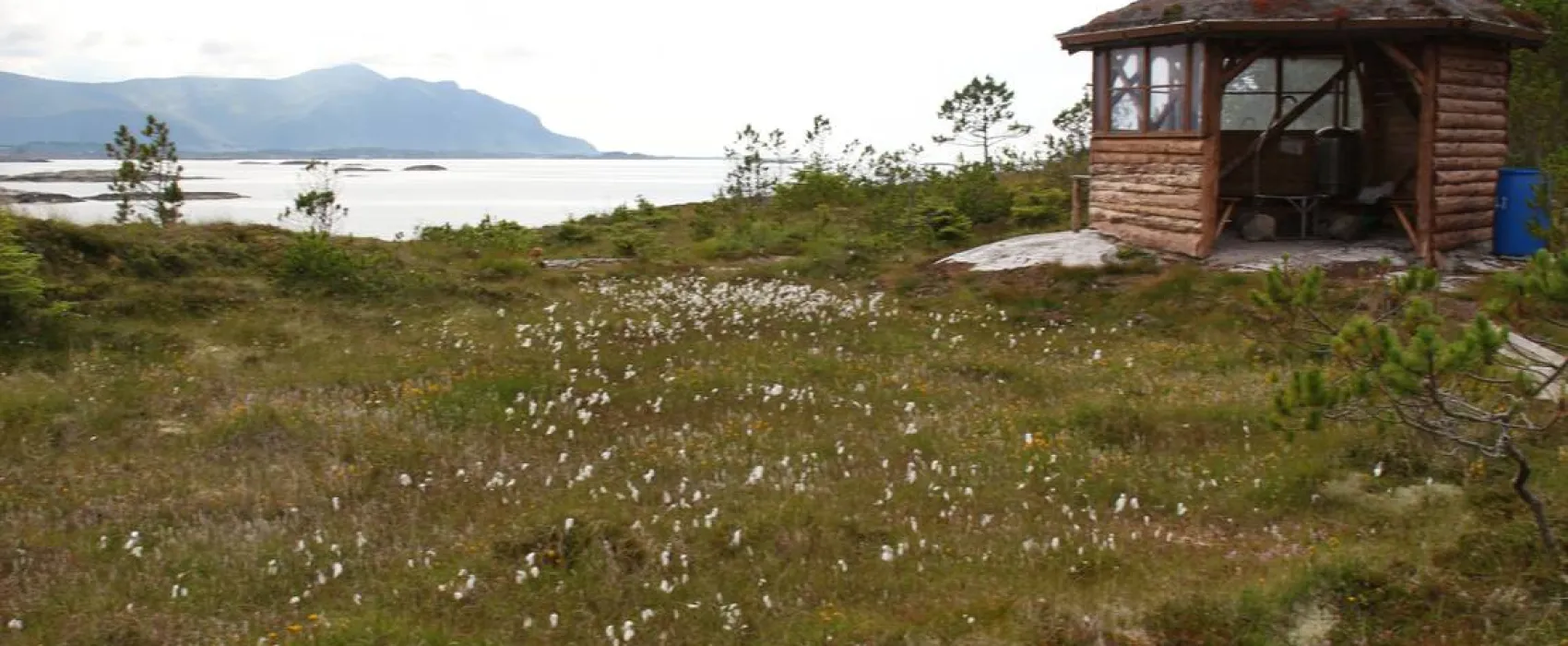 Lysø Naturcamping + Ferienhäuser