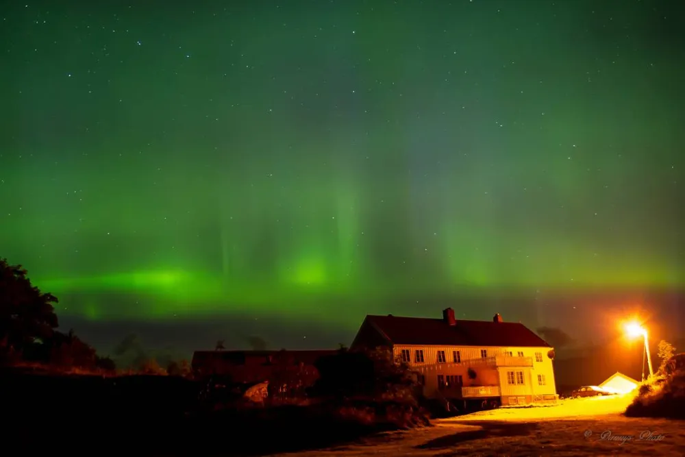 Lysø Naturcamping + Ferienhäuser