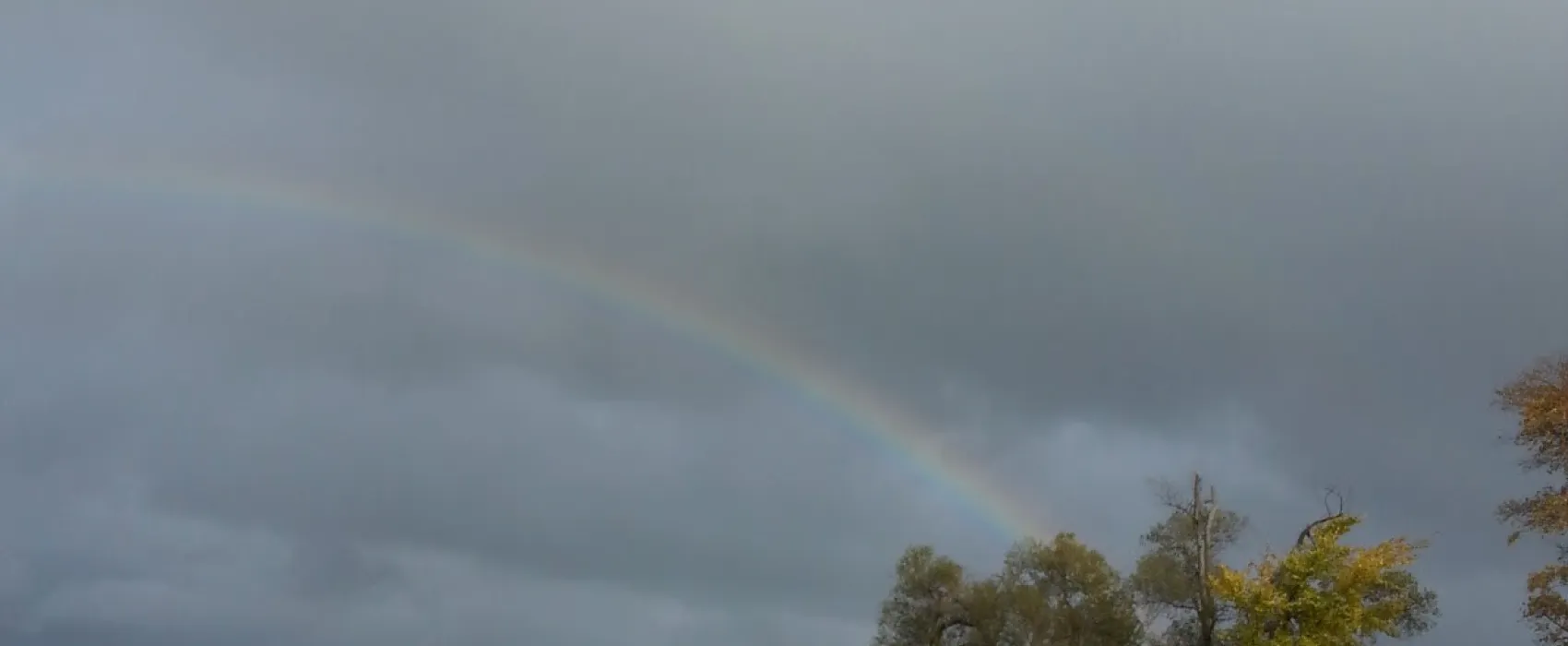 West Houghton Lake Campground