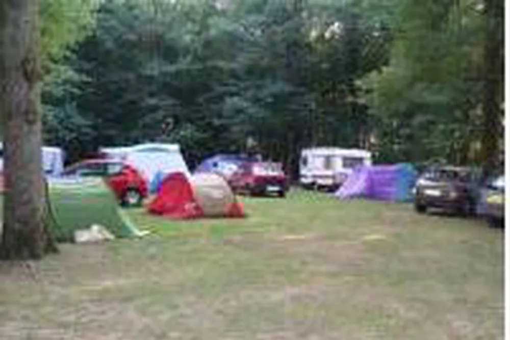 Camping Aire naturelle de la Thévinière
