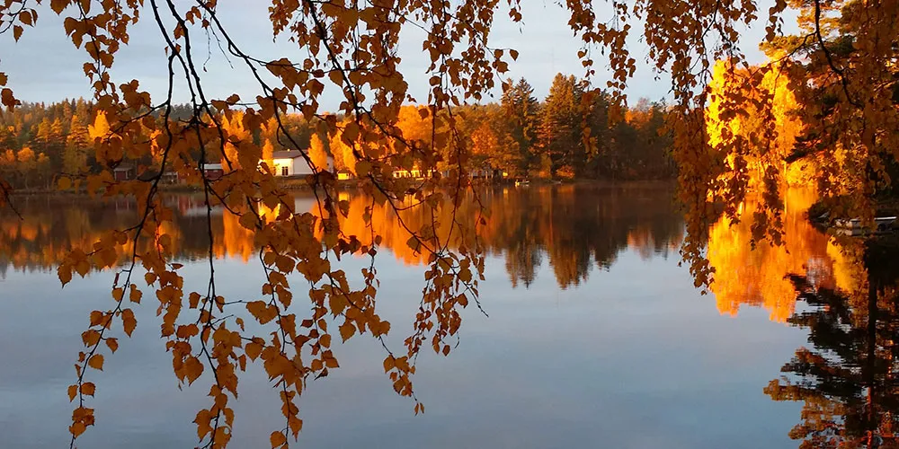 Uvaparkens ställplats - Fröseke