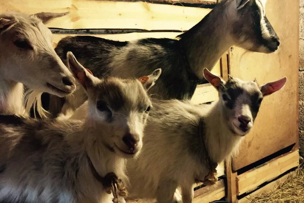 Camping Upes Dizvietas