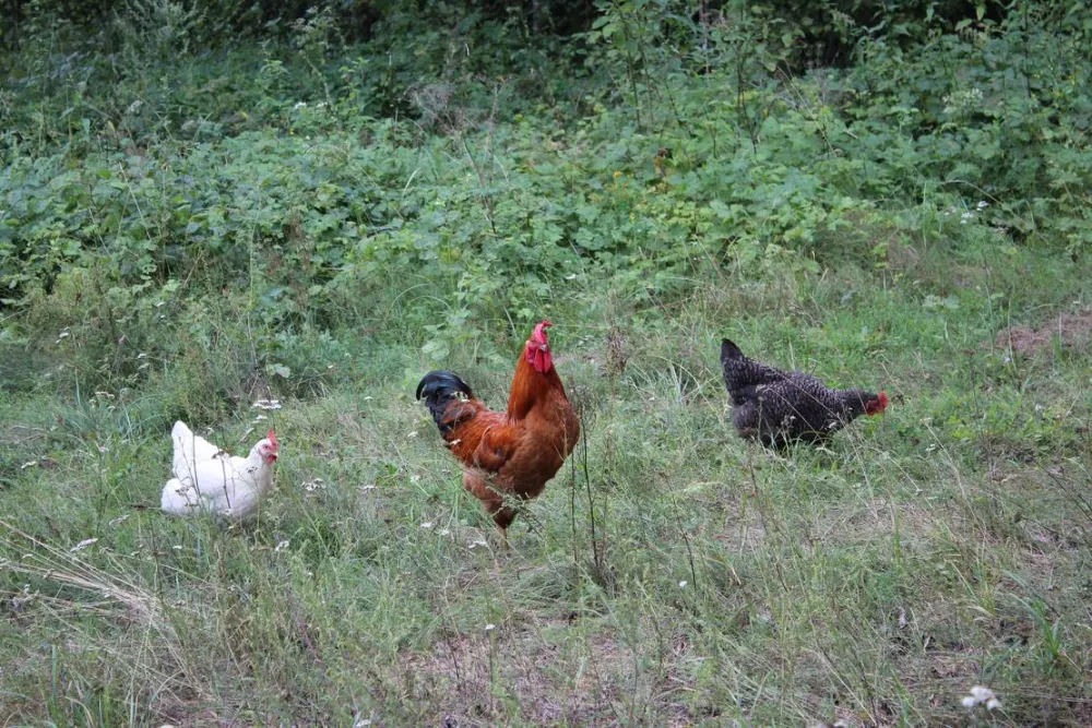 Camping Upes Dizvietas