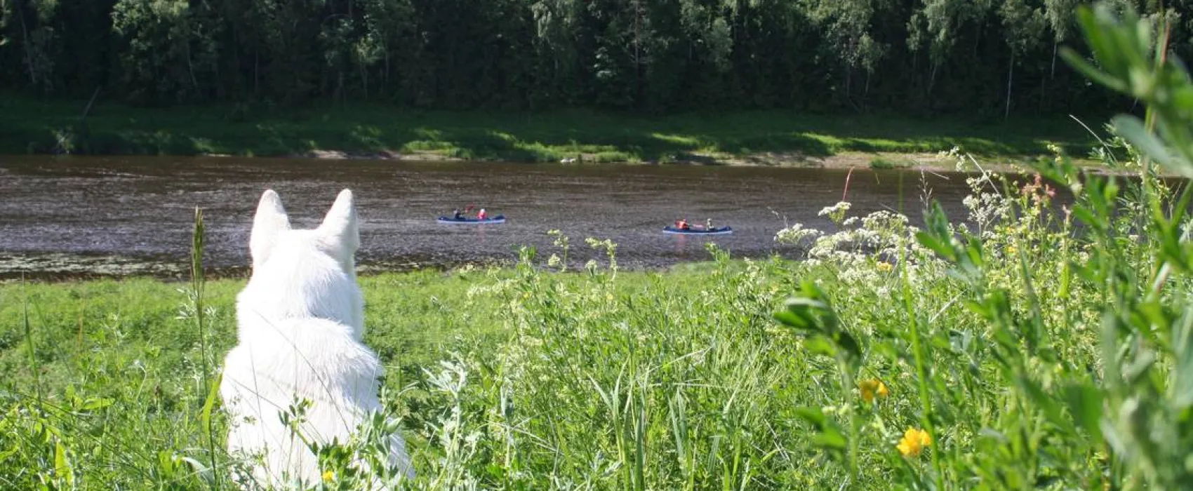 Camping Upes Dizvietas