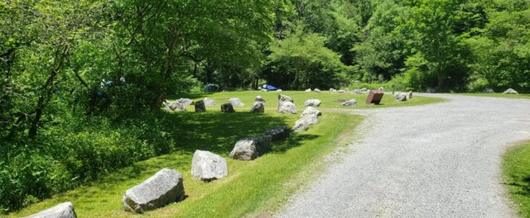 Williams River Designated Campsites