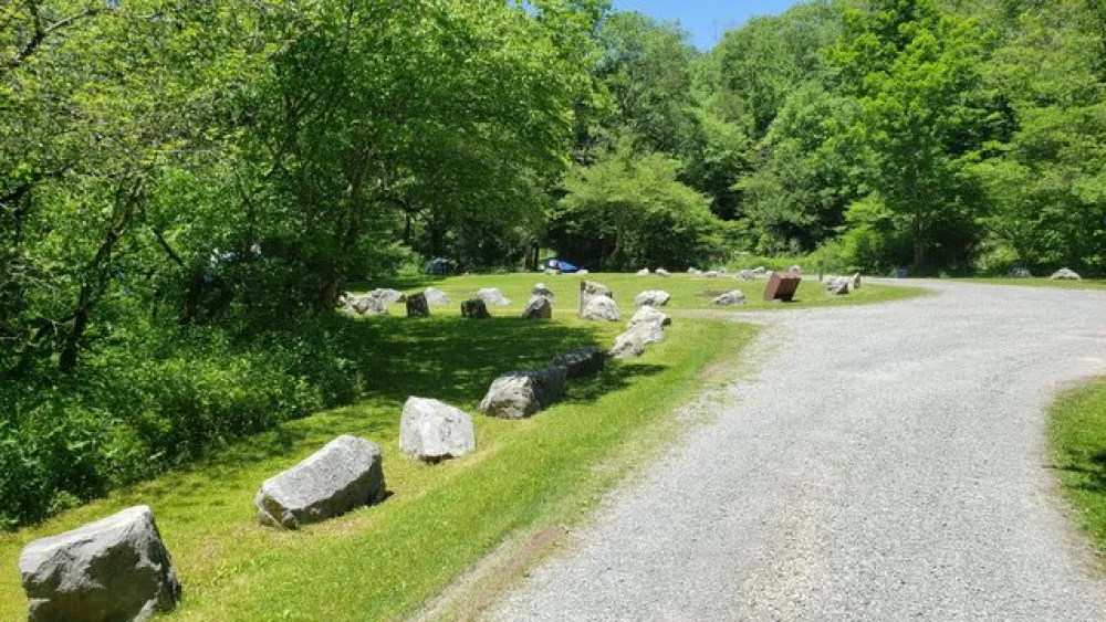 Williams River Designated Campsites