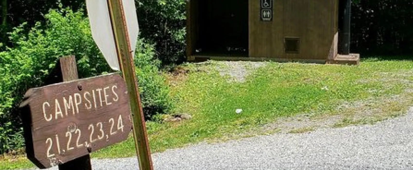 Williams River Designated Campsites