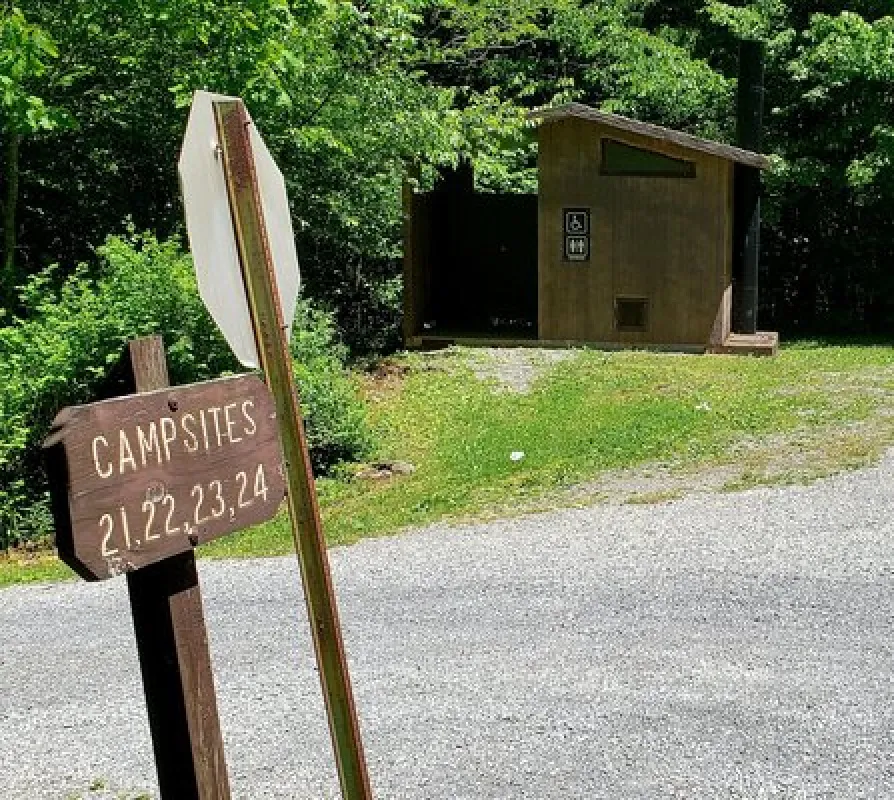 Williams River Designated Campsites